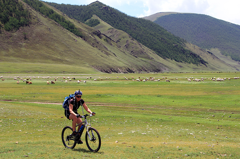 Mountain biking tours in Mongolia